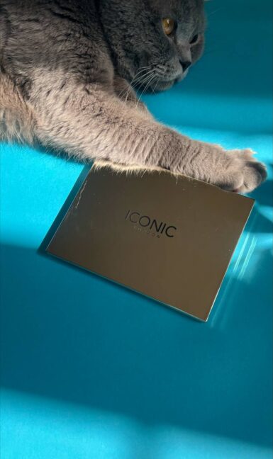 پالت كانتور كرمی آيكانيک ICONIC