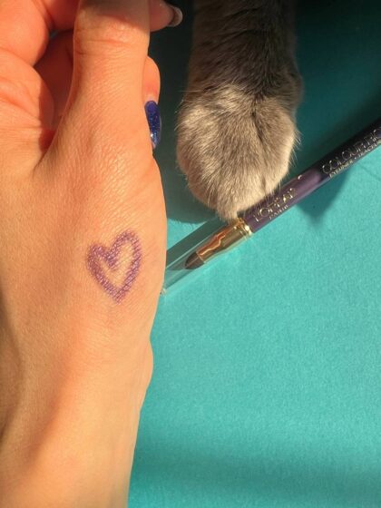 مداد چشم لورال بنفش  Loreal Eyeliner Colour Riche Violet