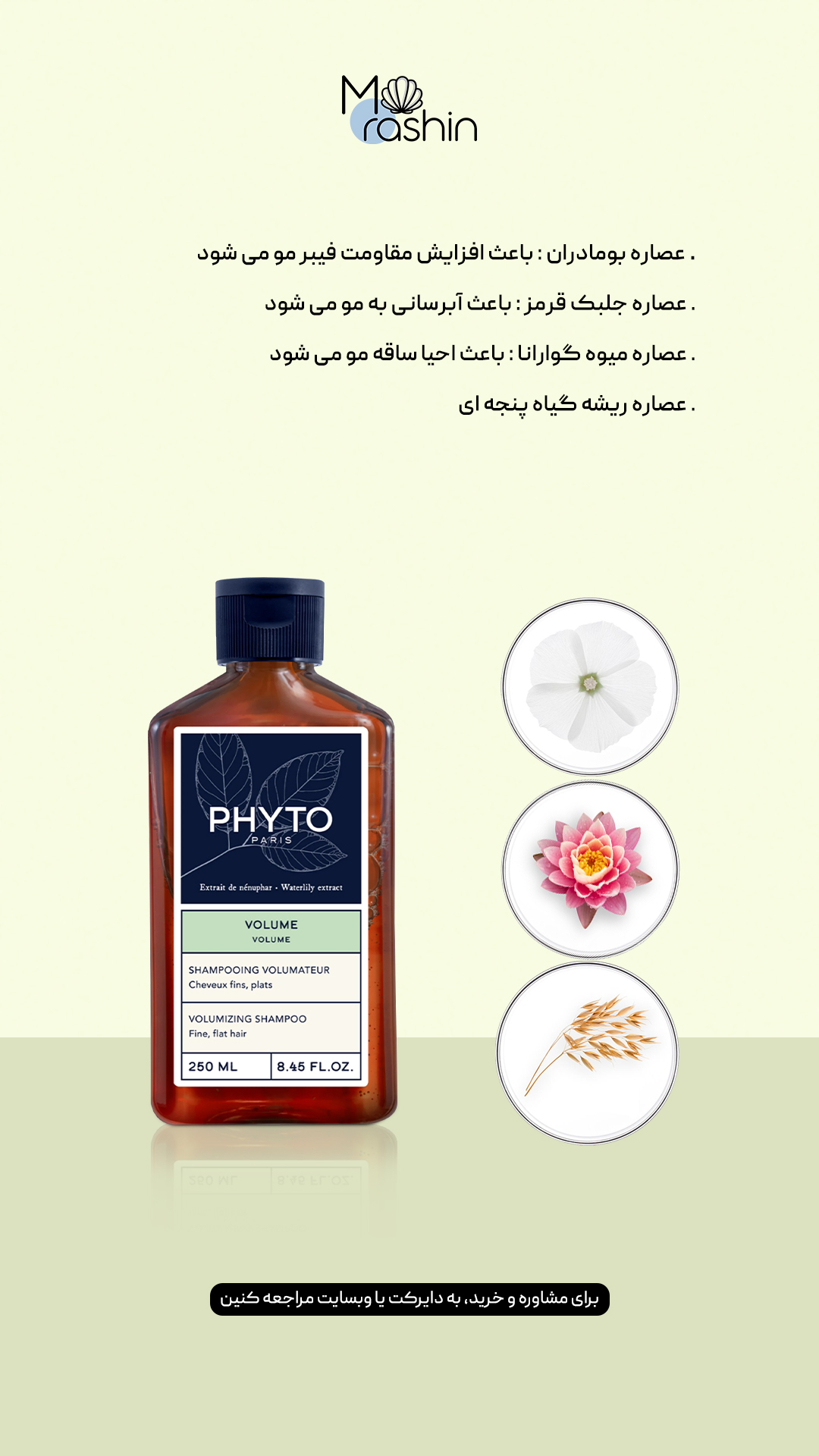 شامپو حجم دهنده فیتو Phyto